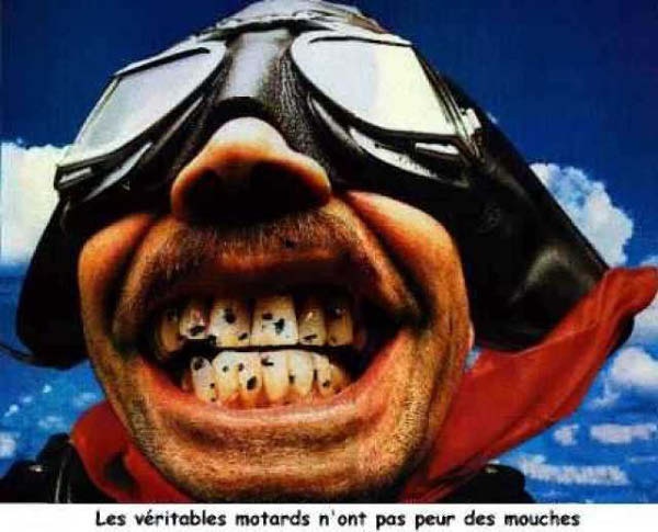 motard 2-humourenvrac